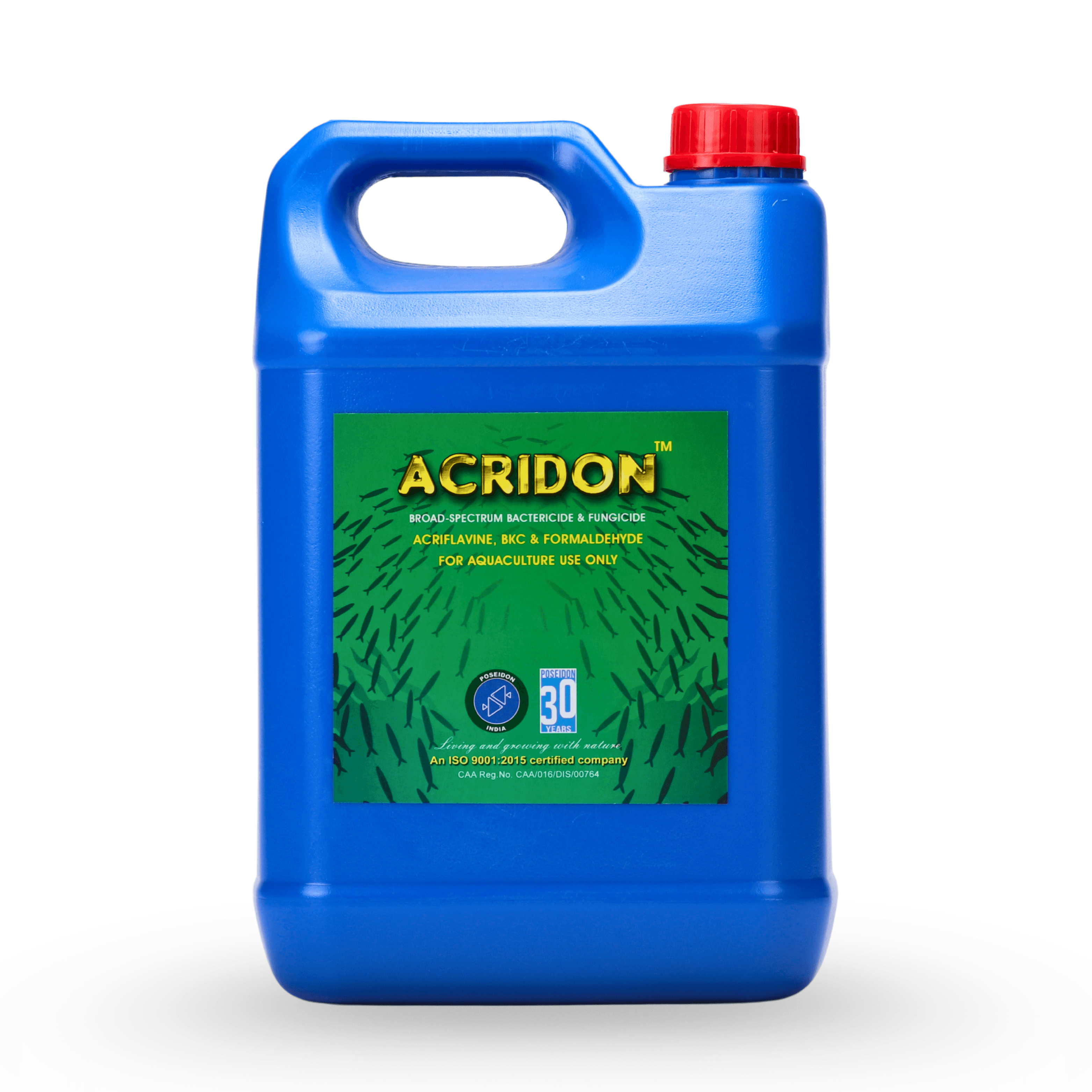 Acridon