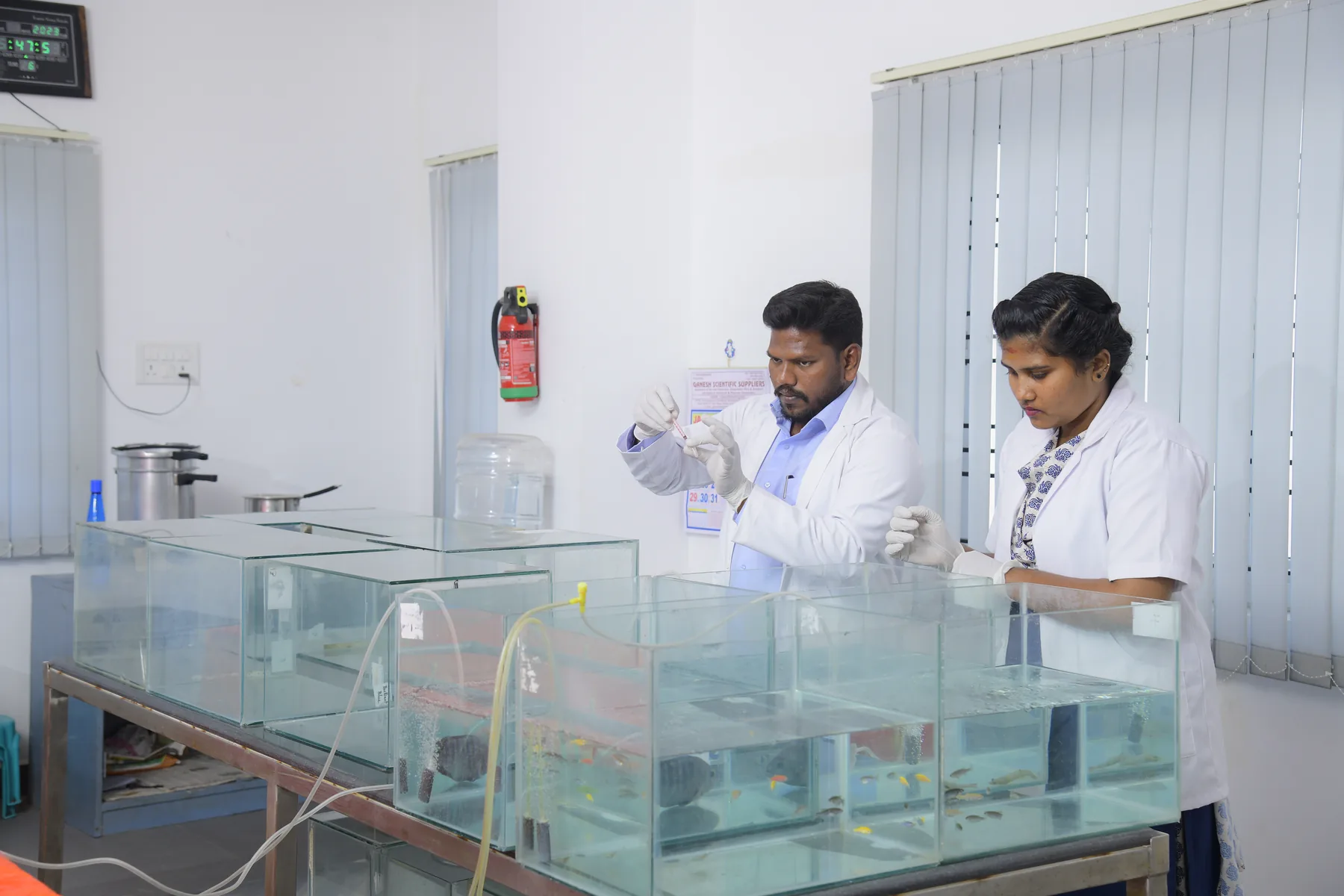 Poseidon Biotech scientists running trials in the aquaculture wet lab