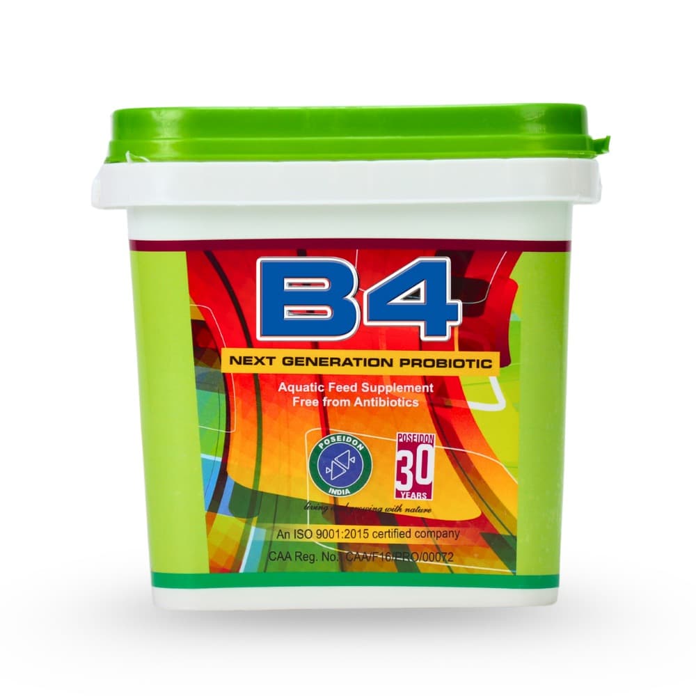 B4